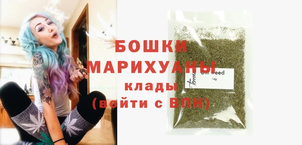молекула духа Мегион