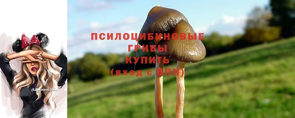 молекула духа Медногорск
