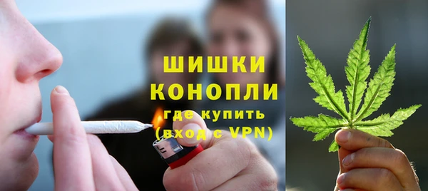 молекула духа Медногорск