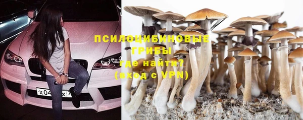 молекула духа Мегион