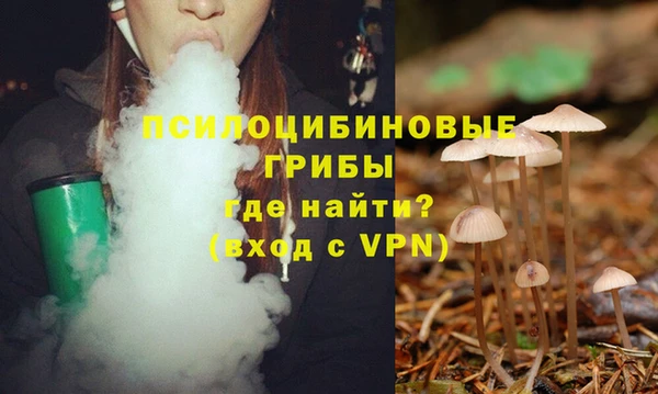 молекула духа Медногорск