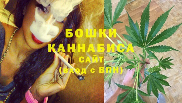молекула духа Медногорск