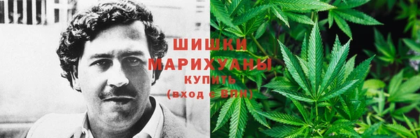 молекула духа Медногорск
