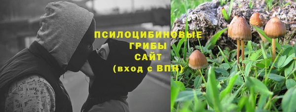 твердый Михайлов